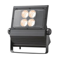 岩崎電気　 レディオック フラッド ネオ　ECF1088LW/SA1/2/2.4/DG　電球色タイプ １００Ｗ　狭角タイプ ダークグレイ